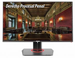 Derecho Procesal Penal