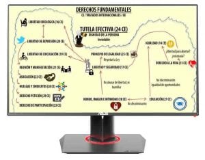 Derechos fundamentales
